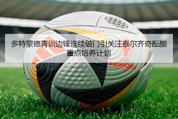 多特蒙德青训边锋连续破门引关注泰尔齐奇酝酿重点培养计划